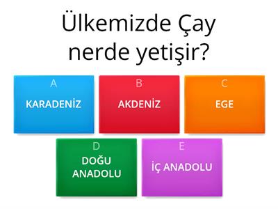 5sınıf test SOSYAL