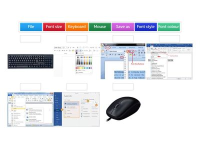 Word formatting basic
