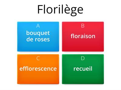 Vocabulaire B2 -