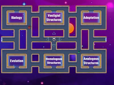 Evolution Quizlet Terms B