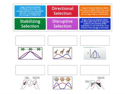 Variation and Natural Selection