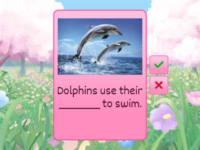 Smart Start 4_Speaking Practice