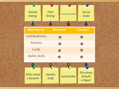 Biomolecules Table Labeling