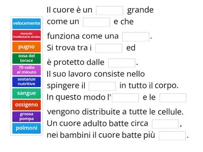 Scienze - Il cuore