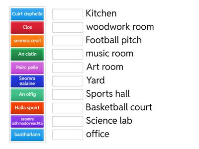 Irish matching activitie