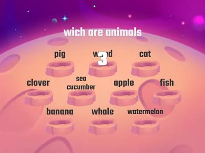  animals and not animals
