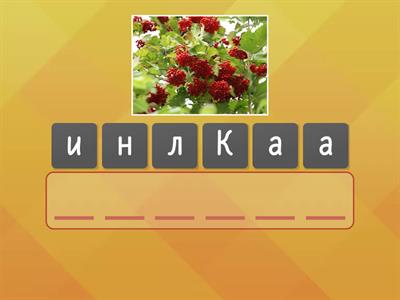 Мова - скарб народу! Бібліотека