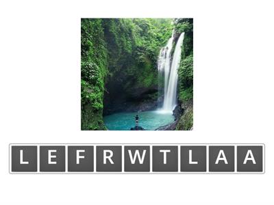 Unit 6  Rainforest 14 ( cuarto de primaria ) 