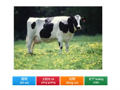 三年级 Term3 自然资源