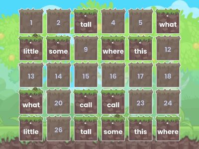 Week 4 Term 4 Tricky Words Practice