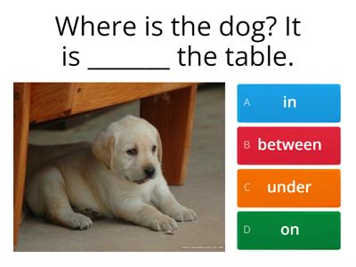 Prepositions of place