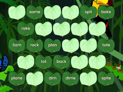 2-05_Vowel E_SET 1_Match silent E word to word without silent E