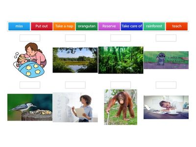 Oxford discover y1 Unit 6 vocabs.