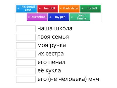 3 класс притяжательные местоимения
