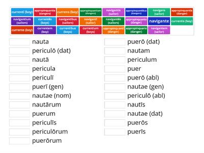 Stage 20: Participle-Noun Agreement