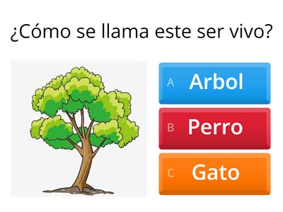 IDENTIFICANDO SERES VIVOS