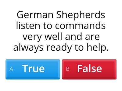 clever dogs - T or F