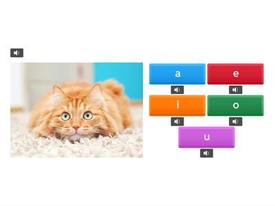 Page 71 (Short Vowels Recall)