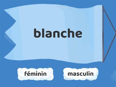 Adjectifs de couleurs