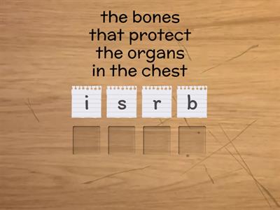 Spell the Skeletal System