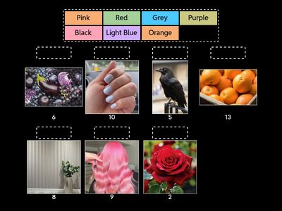 ACPB - B03 - Colours