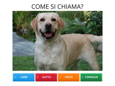 COME SI CHIAMA? (ANIMALI)