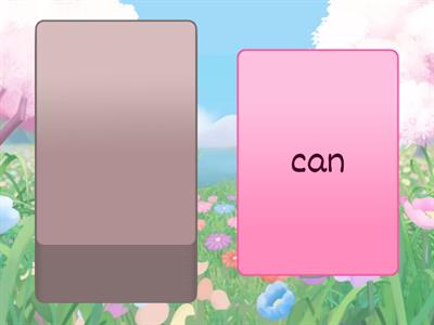 Snap Word Review One