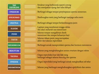 e-LKPD: ALAT-ALAT REPRODUKSI MANUSIA