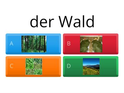 Natur und Landschaft - Wortschatz A2