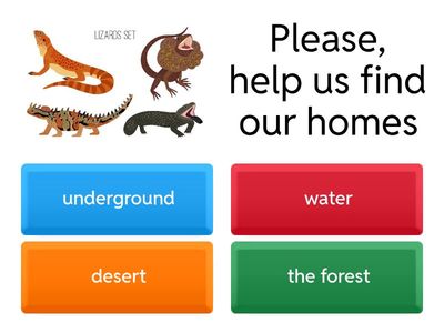 HELP ME FIND MY HOME