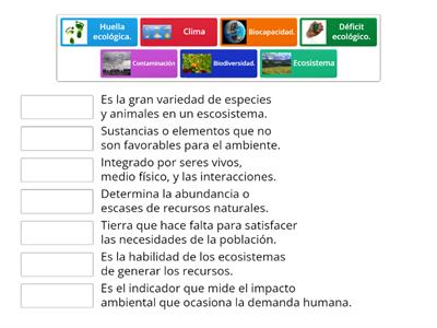 7° Concepto básicos 