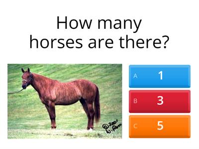 Math:  1:1 correspondence