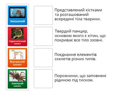 Типи скелета тварин. (7 клас)