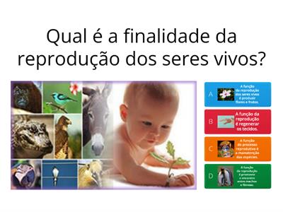 Reprodução assexuada