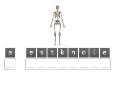 1-Halloween (Basic Level)