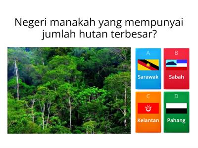 BAB 10: SUMBER HUTAN (GEOGRAFI TINGKATAN 3)