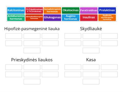 Endokrininė sistema -  liaukos ir hormonai 