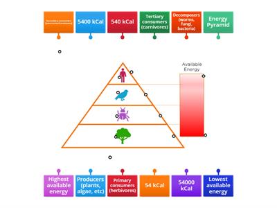 Energy Pyramid