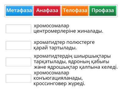 Митоз және мейоз
