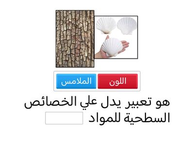 الفن البدائي ملامس (غلق ختامي )