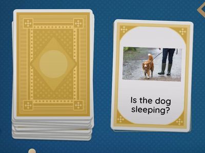 Questions present continuous 