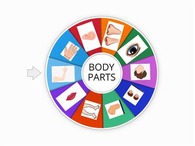 BODY PARTS