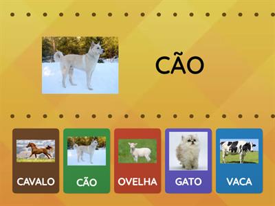 ANIMAIS DOMÉSTICOS