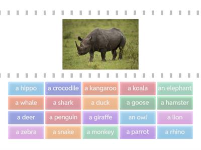 Bright Ideas 2 Animals U5L1+2