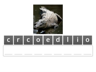 The world around us (Names of Animals)