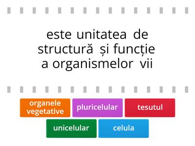 Organismul - un tot unitar