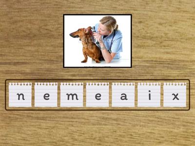 Animal Shelter Word Shuffle