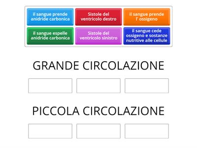 grande e piccola circolazione 