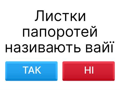 Мохи, папороті, хвощі, плауни