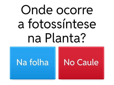Quiz da Fotossíntese